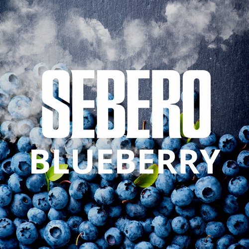 Табак Sebero Blueberry